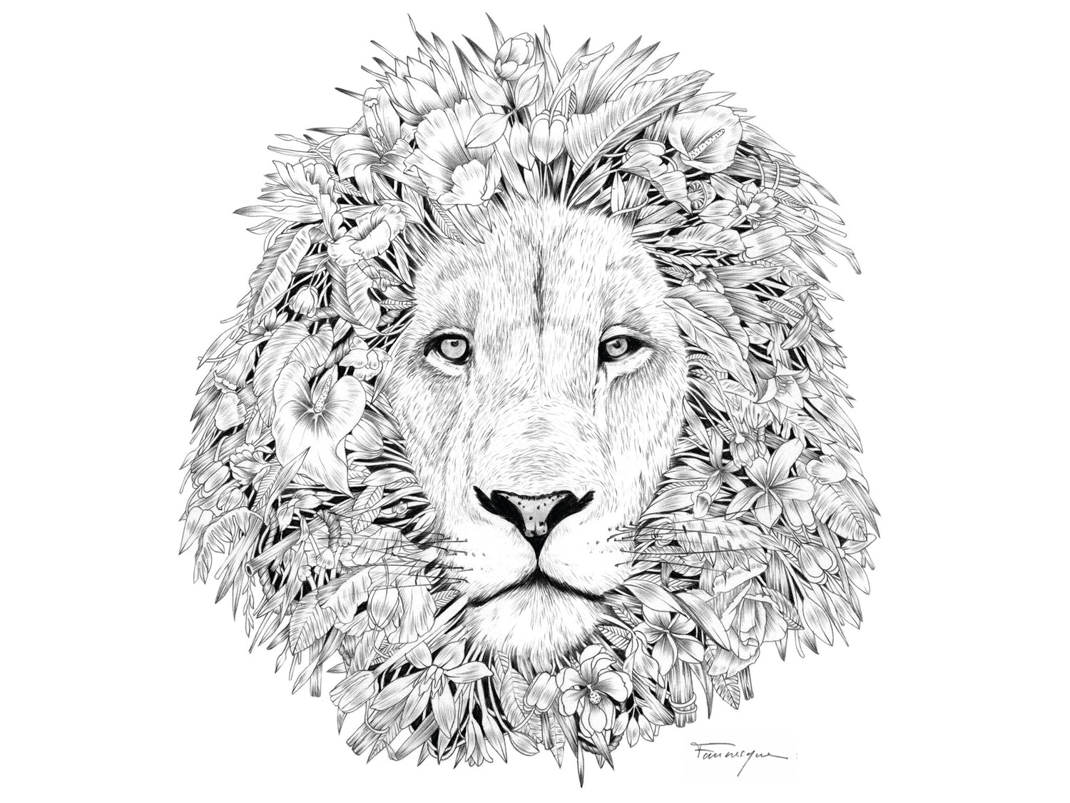 Lion image designed by artist Faunesque for The Paper Rain Project fair trade, organic t-shirts.